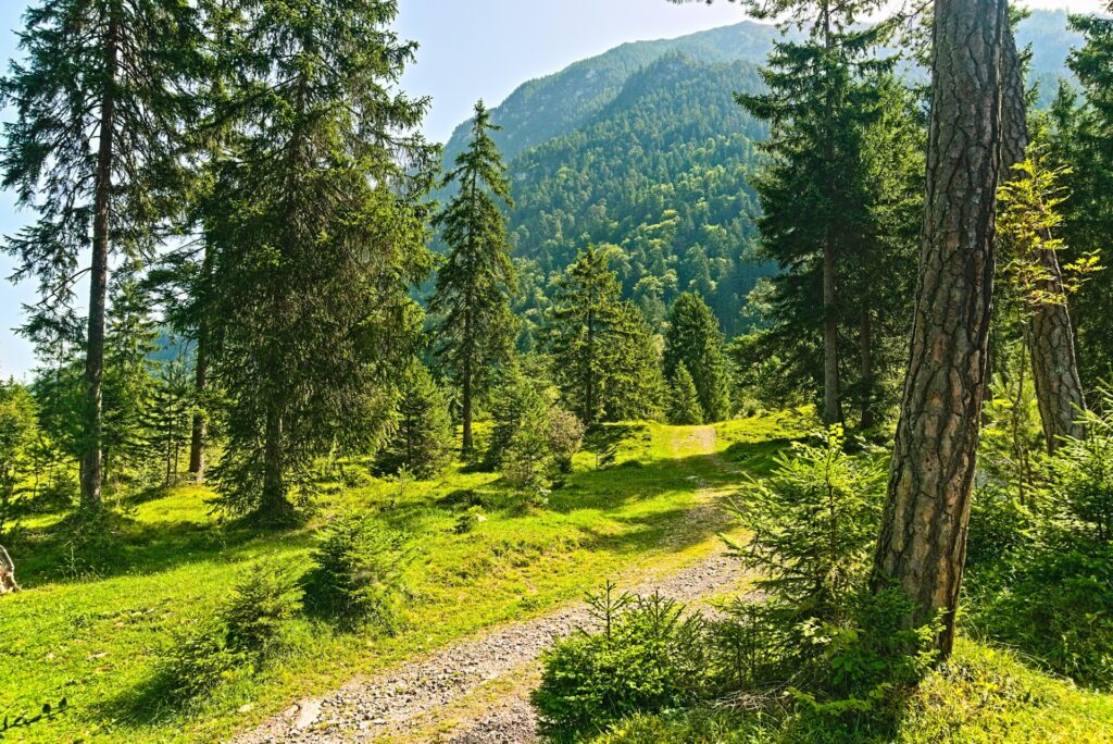 góry